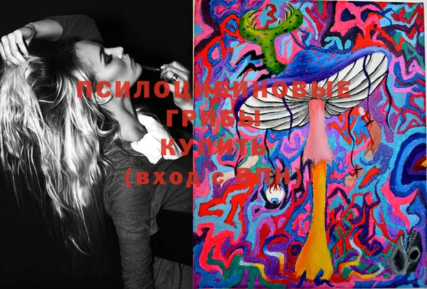 эйфоретик Дмитров