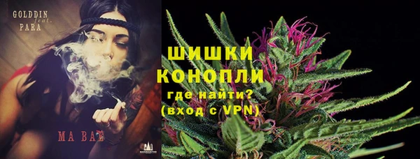 эйфоретик Дмитров