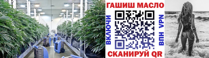 МЕГА tor  купить   Пересвет  Дистиллят ТГК Wax 